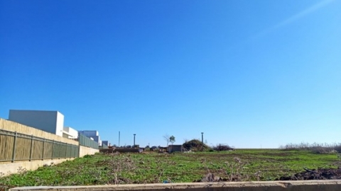 תמונה2.jpg
